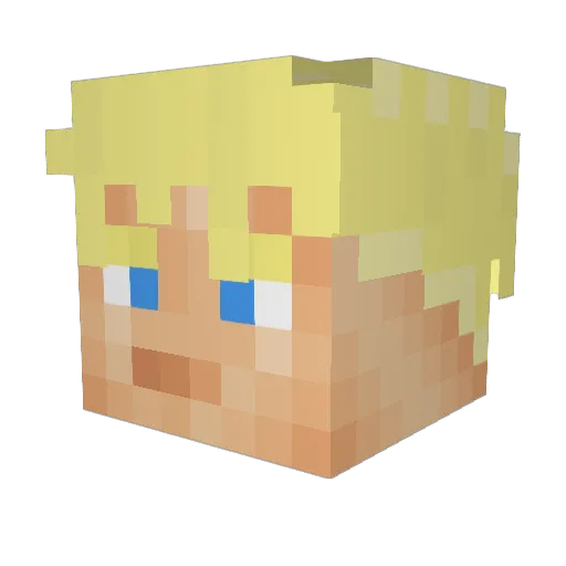Trobies Minecraft avatar head, 3D render