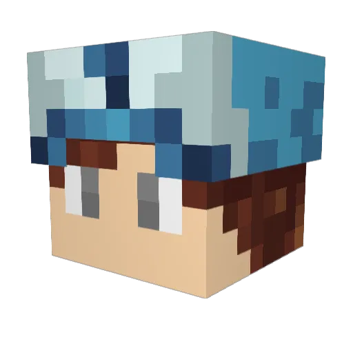 Troc8 Minecraft avatar head, 3D render