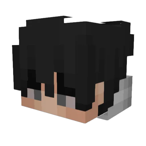 Trochh Minecraft avatar head, 3D render