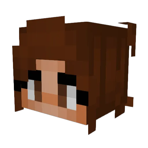 Trocker909 Minecraft avatar head, 3D render