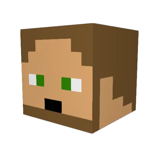TroenBasmati Minecraft avatar head, 3D render
