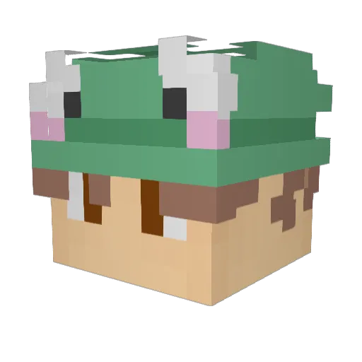 TrofiMove Minecraft avatar head, 3D render