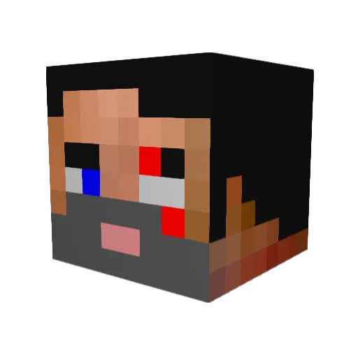 TrogdorGuy Minecraft avatar head, 3D render