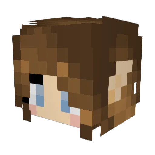 TroianAce Minecraft avatar head, 3D render