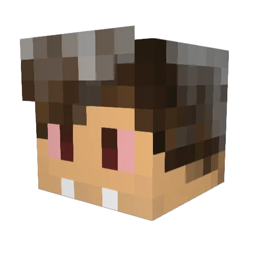 Troid41 Minecraft avatar head, 3D render