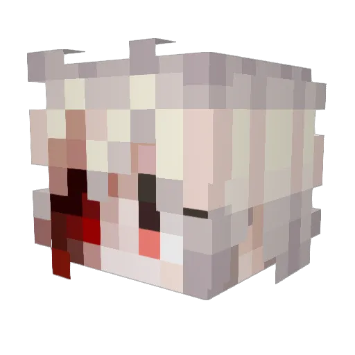 Trojan484 Minecraft avatar head, 3D render