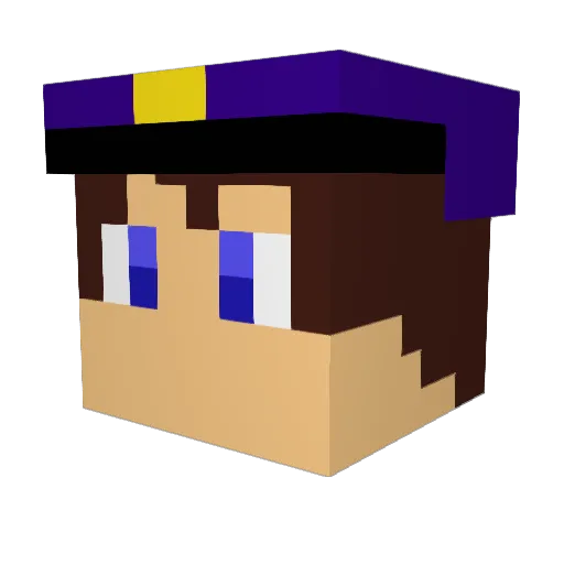 Trojans4lf Minecraft avatar head, 3D render