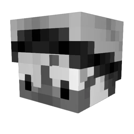 Troky Minecraft avatar head, 3D render