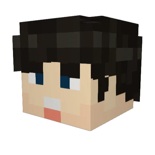 Troler455 Minecraft avatar head, 3D render