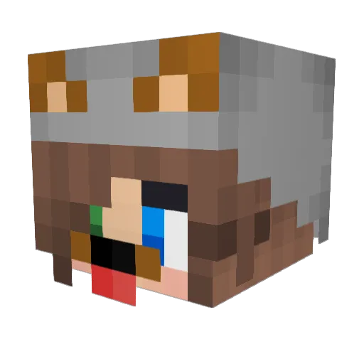 TrolerHD Minecraft avatar head, 3D render