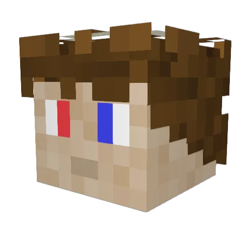 Troleron Minecraft avatar head, 3D render