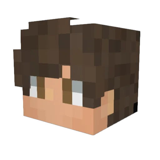 Trolgol Minecraft avatar head, 3D render