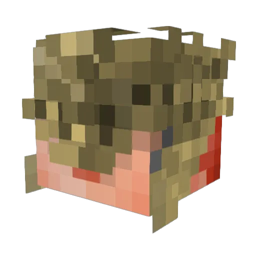 TrollGamerMS Minecraft avatar head, 3D render