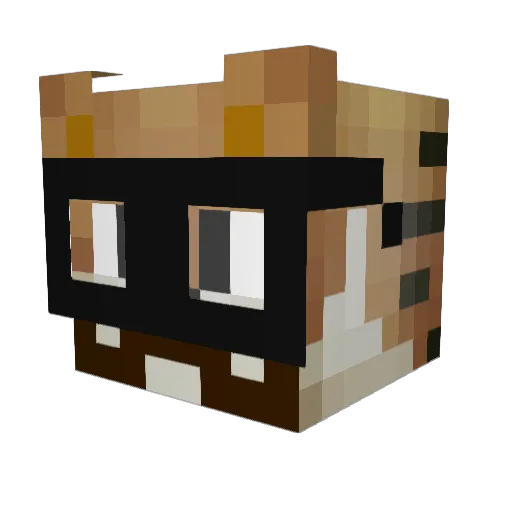 TrollKingKid Minecraft avatar head, 3D render
