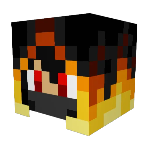 TrollReis2812 Minecraft avatar head, 3D render