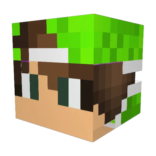 Troller123danny Minecraft avatar head, 3D render