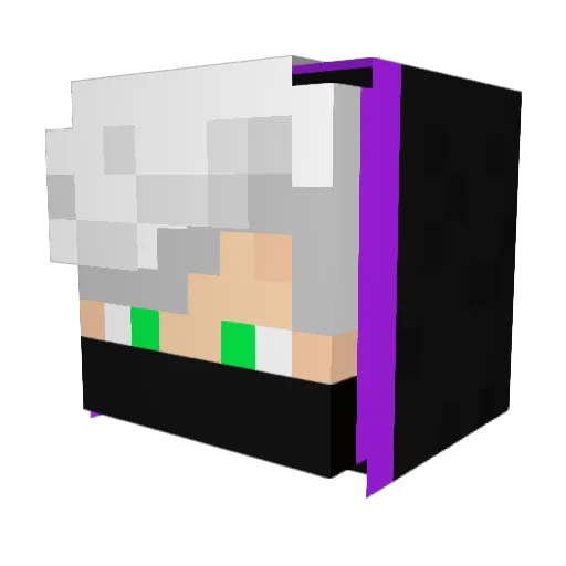 Trollfight9 Minecraft avatar head, 3D render