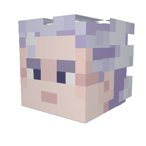 TrollgamerM Minecraft avatar head, 3D render