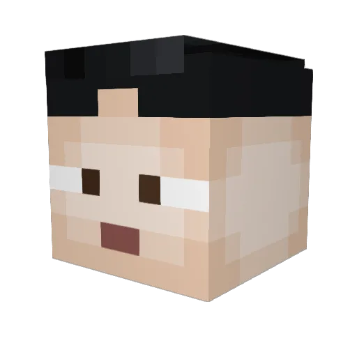 Trollkarlenn Minecraft avatar head, 3D render