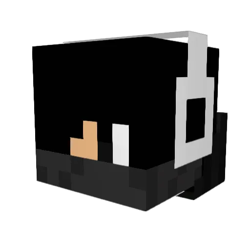 Trollmaster1172 Minecraft avatar head, 3D render