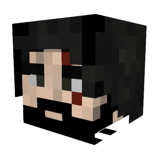 Trollusman2004 Minecraft avatar head, 3D render