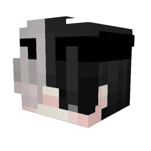 Trollyou3 Minecraft avatar head, 3D render