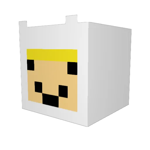 Tromas_1 Minecraft avatar head, 3D render
