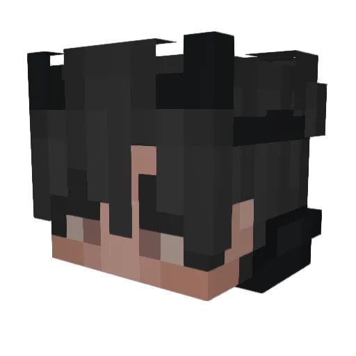 Trommel_Torsten8 Minecraft avatar head, 3D render