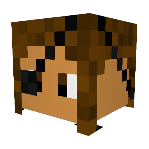 TronDoN78 Minecraft avatar head, 3D render