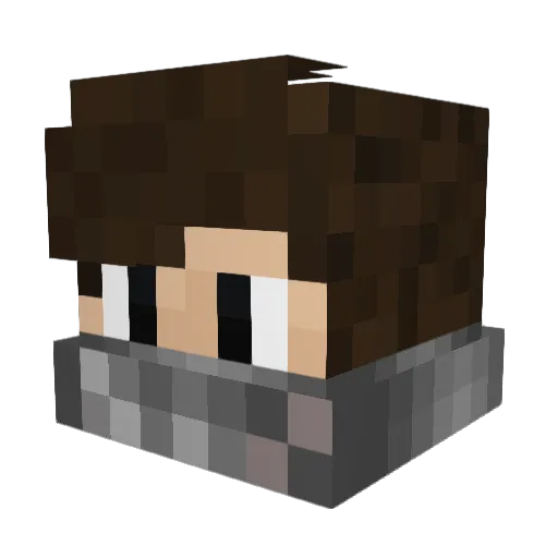 Tron__1007 Minecraft avatar head, 3D render
