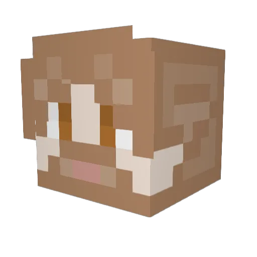 Troncoduro Minecraft avatar head, 3D render