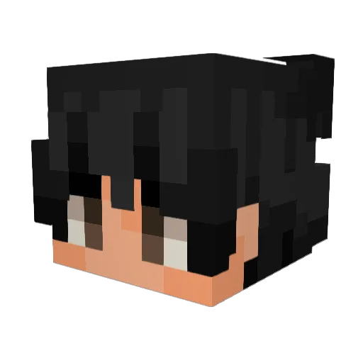 TroniiX_Shadow Minecraft avatar head, 3D render