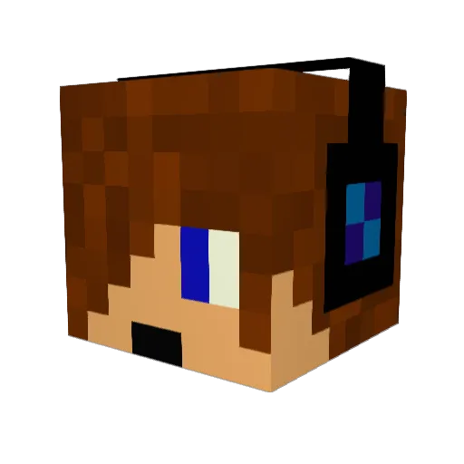 Tronmaster2004 Minecraft avatar head, 3D render
