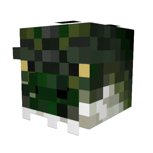 Tronsx Minecraft avatar head, 3D render