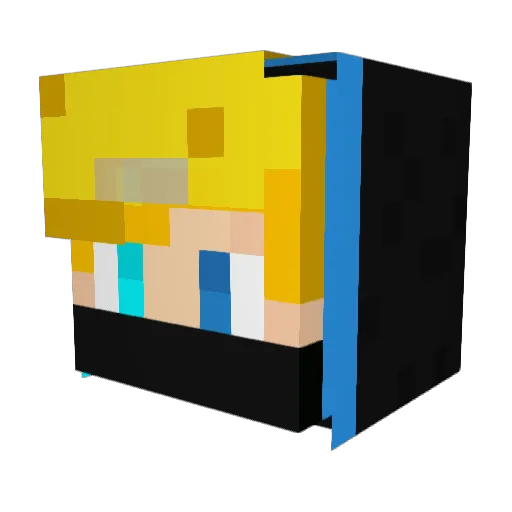 Troobear Minecraft avatar head, 3D render