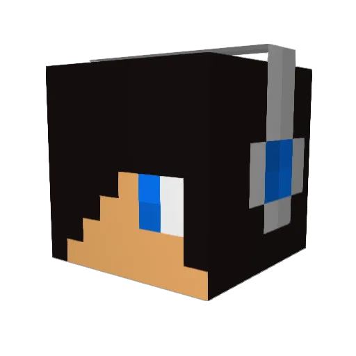 Troobroo Minecraft avatar head, 3D render