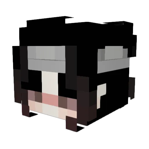 TrookeUp Minecraft avatar head, 3D render