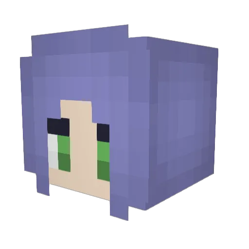 Troomoo1212 Minecraft avatar head, 3D render