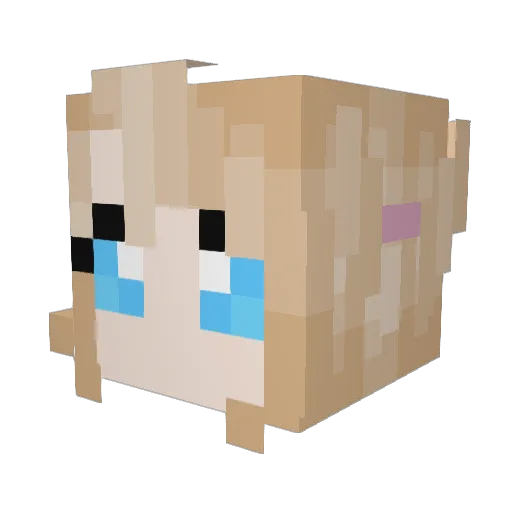Trooper101101 Minecraft avatar head, 3D render
