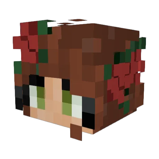 TrooperCooper20 Minecraft avatar head, 3D render