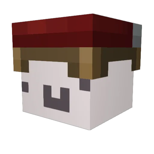 Trooperboygo Minecraft avatar head, 3D render