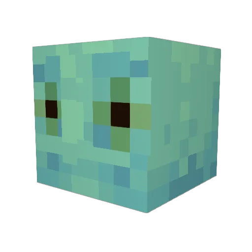 TropiCoral Minecraft avatar head, 3D render