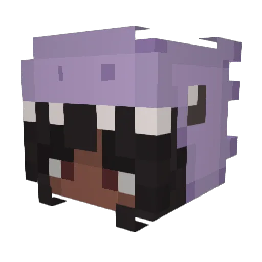 TropicSoda3017 Minecraft avatar head, 3D render