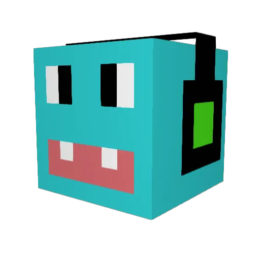 Tropic_22 Minecraft avatar head, 3D render