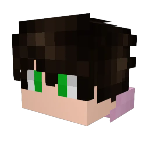TropicalClout Minecraft avatar head, 3D render