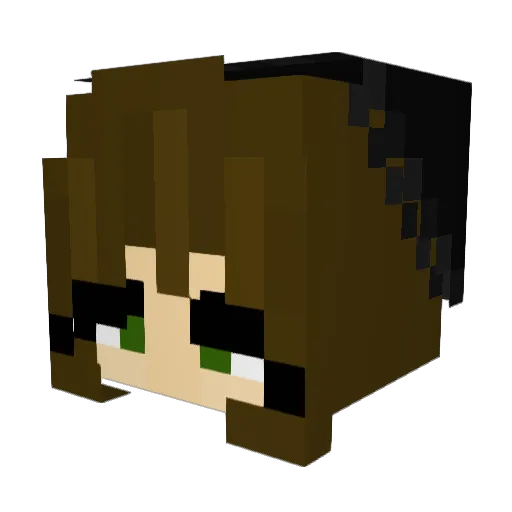 TropicalDogo_ Minecraft avatar head, 3D render