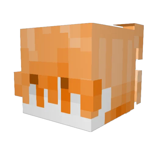TropicalFih Minecraft avatar head, 3D render