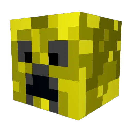 TropicalGamer124 Minecraft avatar head, 3D render