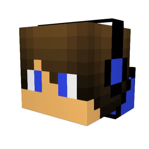 TropicalHen6982 Minecraft avatar head, 3D render