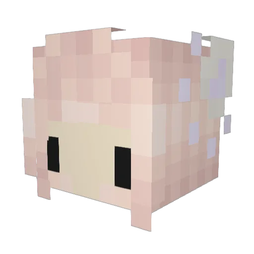 TropicalKitty Minecraft avatar head, 3D render